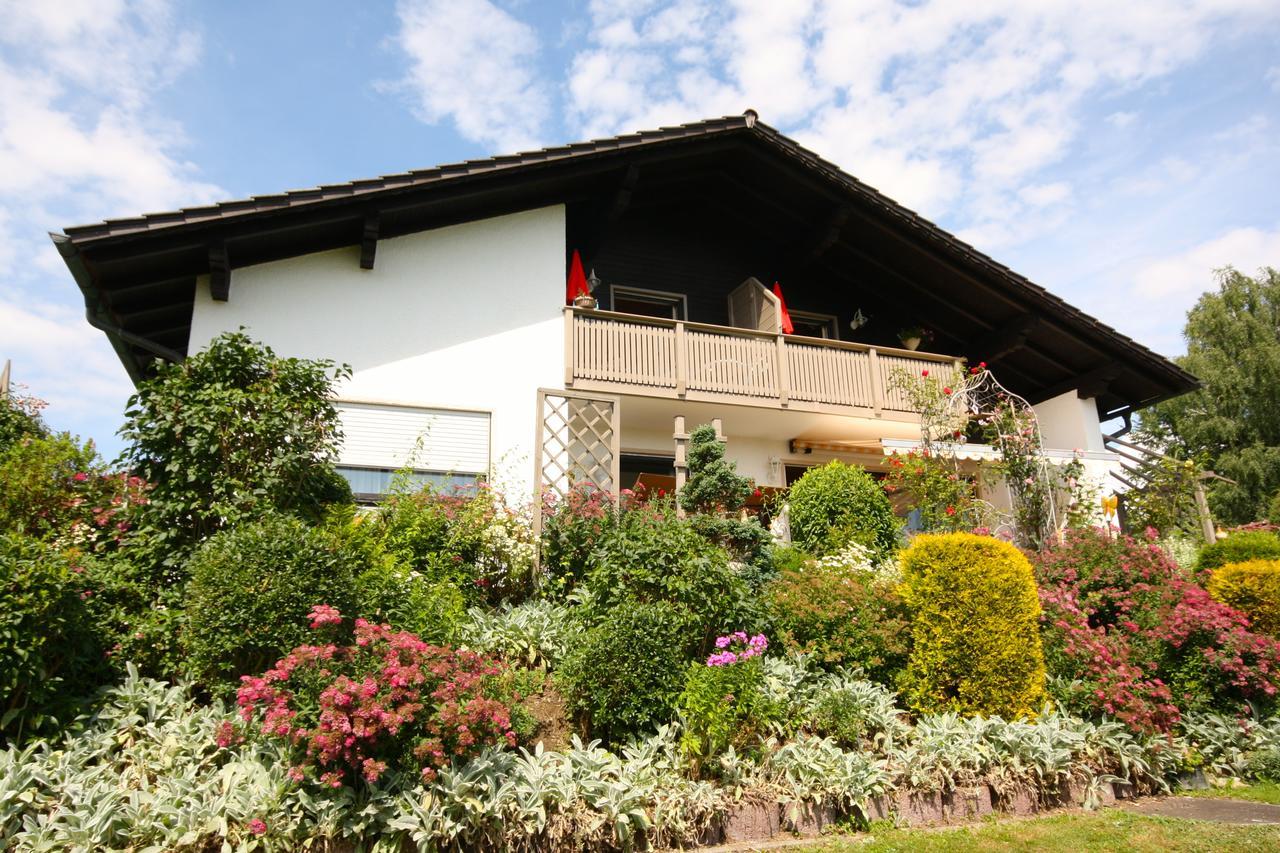 Ferienhaus Und Ferienwohnungen Holzapfel Geiersthal Екстер'єр фото